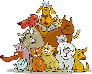 pet fire safety, pet emergency evacuation, pet emergency preparedness, fire safety tips, pet fire safety tips, home fire safety, pet emergency plan, pet evacuation plan, fire safety for pets, don't forget your pets, california fire, california firefighters, ca firefighters, ca fire, california fire department