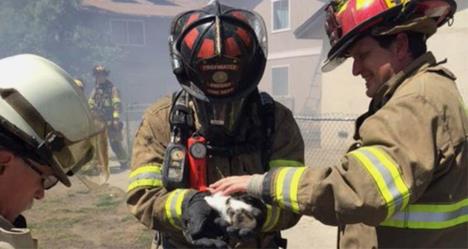 photo by Fresno Fire Department