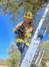 photo by Hornbrook FPD