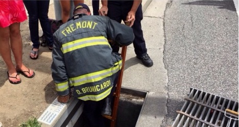 photo by Fremont Fire Department